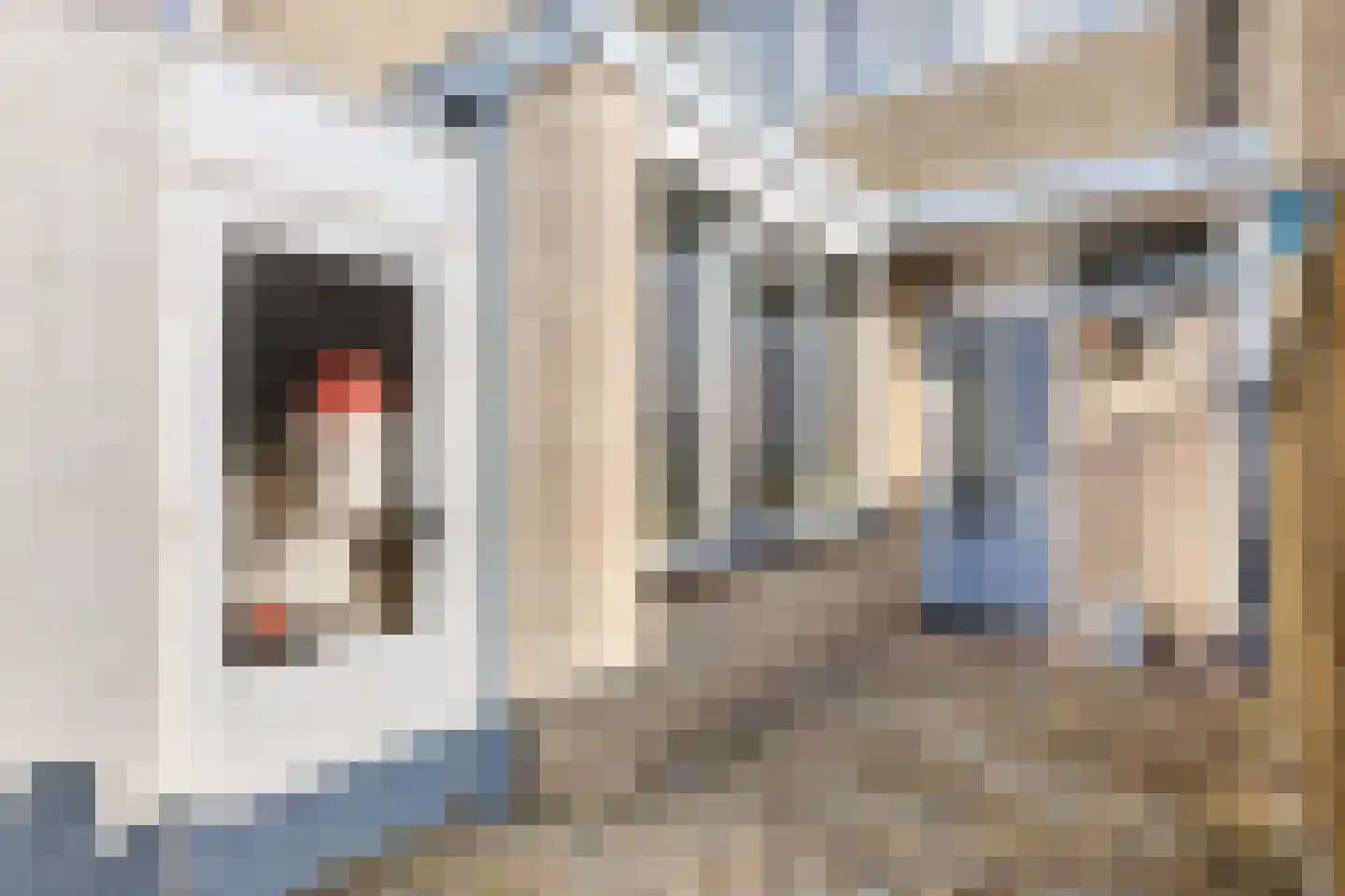 Spaarnestraat 22 Oost-Souburg thumbnail 5