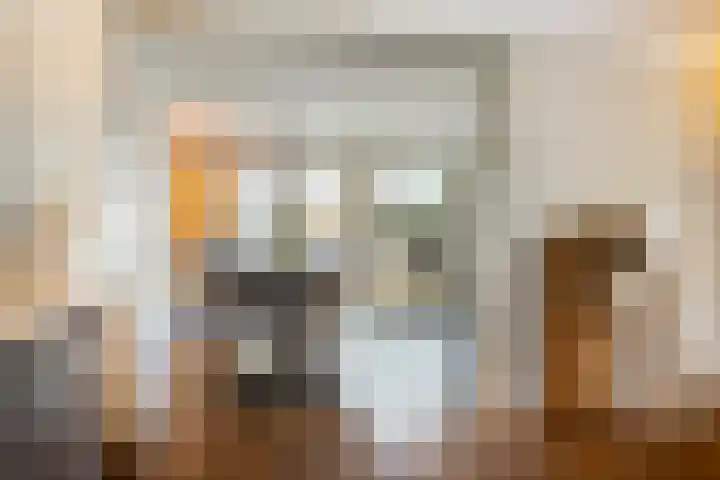 Spaarnestraat 24 Eindhoven thumbnail 12