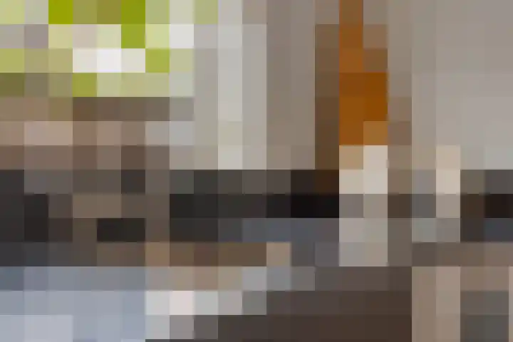 Spaarnestraat 24 Eindhoven thumbnail 14