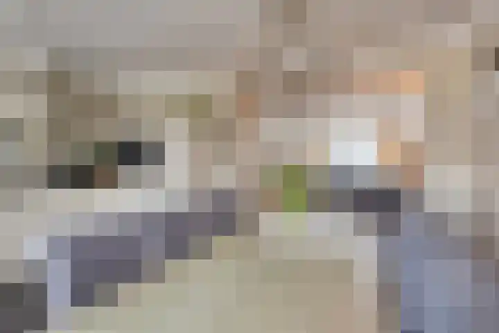 Spaarnestraat 24 Eindhoven thumbnail 17