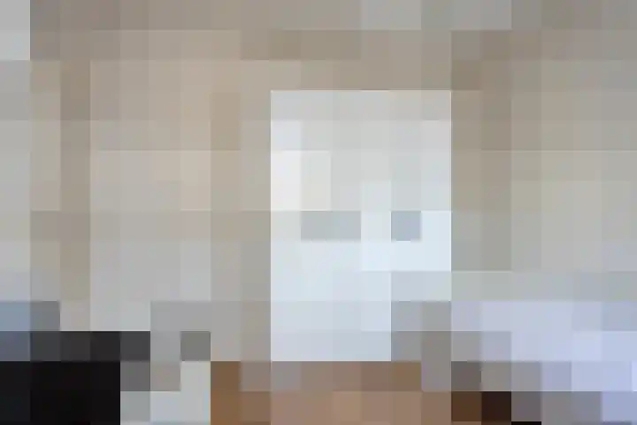 Spaarnestraat 24 Eindhoven thumbnail 22