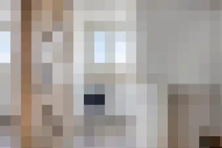 Spaarnestraat 24 Eindhoven thumbnail 27
