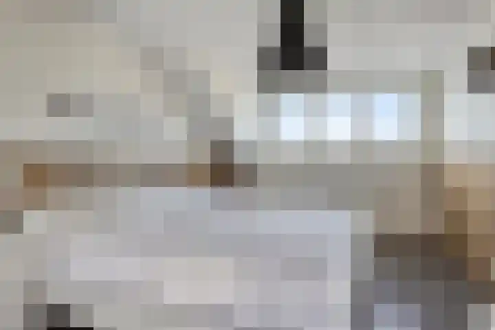 Spaarnestraat 24 Eindhoven thumbnail 29