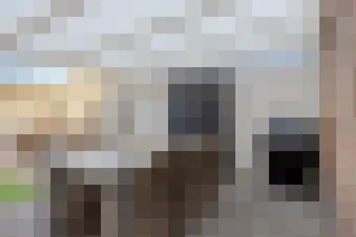 Spaarnestraat 24 Eindhoven thumbnail 30