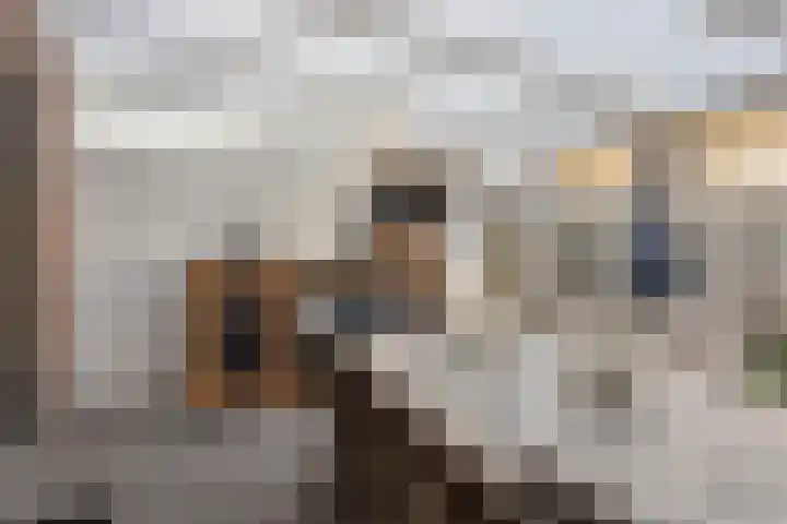 Spaarnestraat 24 Eindhoven thumbnail 31