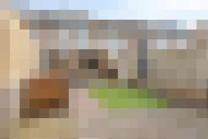 Spaarnestraat 24 Eindhoven thumbnail 34