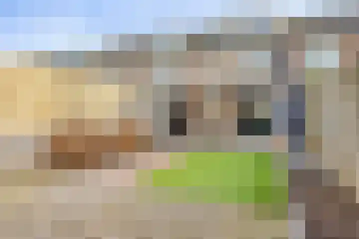 Spaarnestraat 24 Eindhoven thumbnail 4