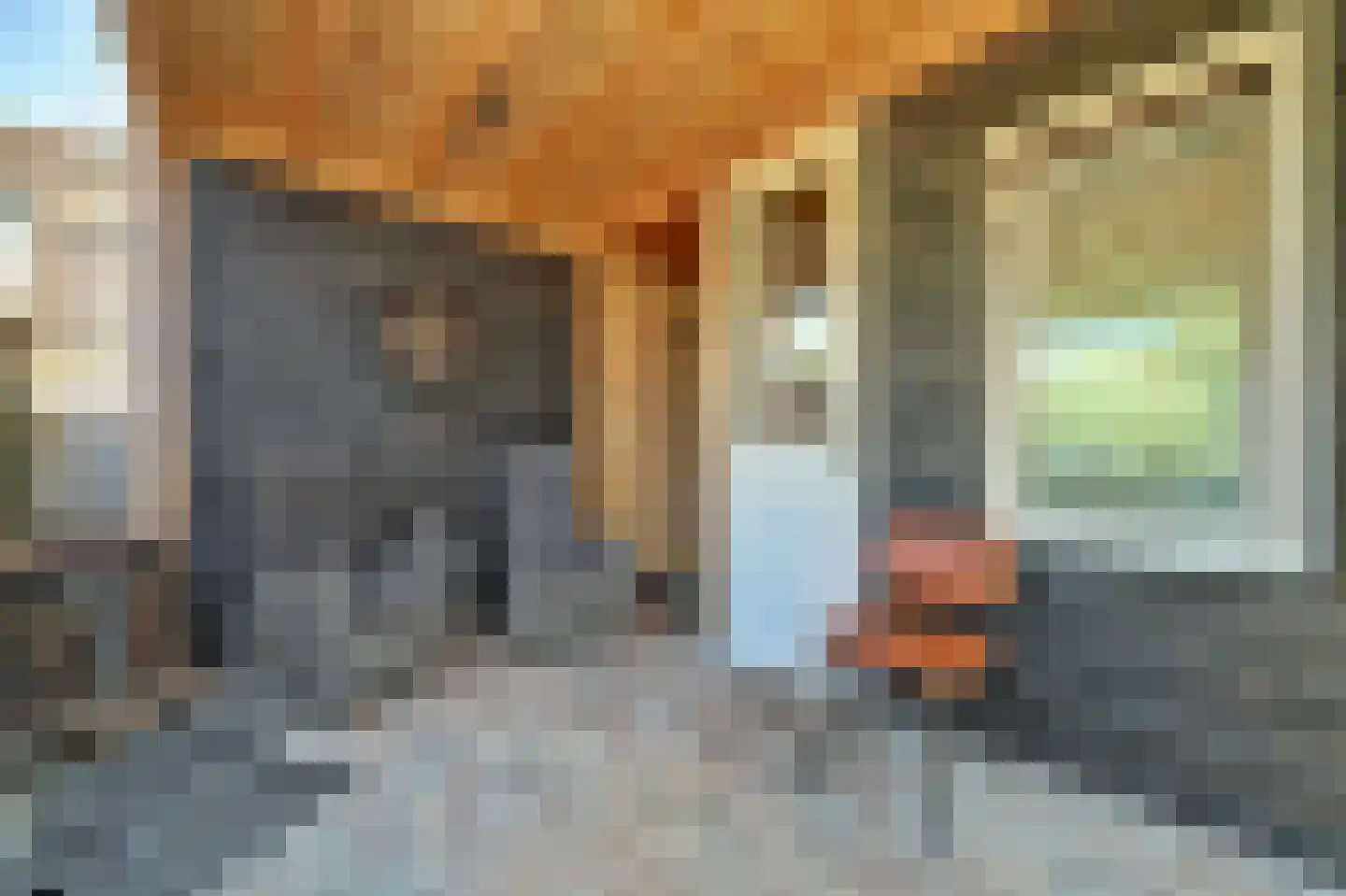 Spaarnestraat 26 Oost-Souburg thumbnail 34