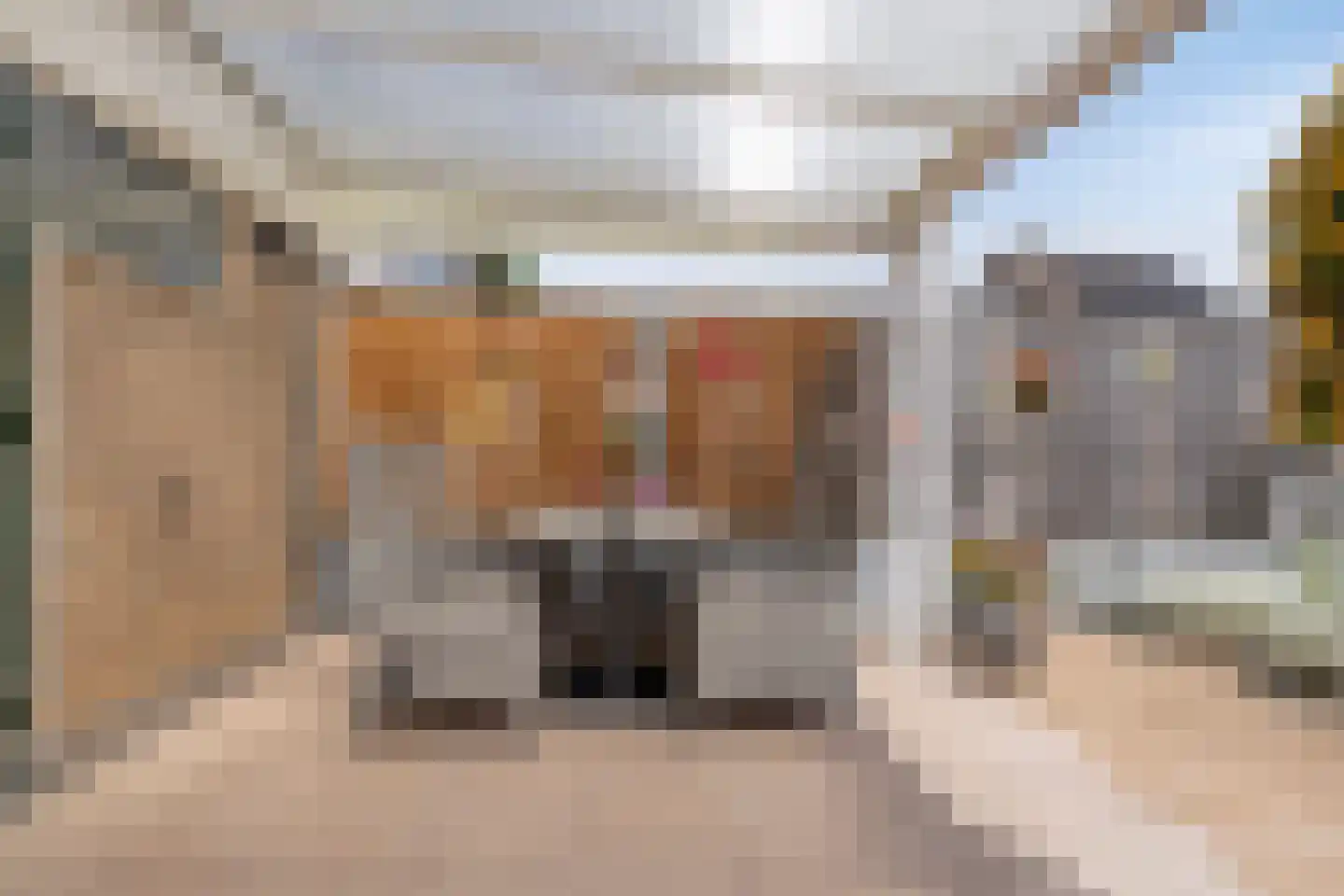 Spaarnestraat 8 Terneuzen thumbnail 24
