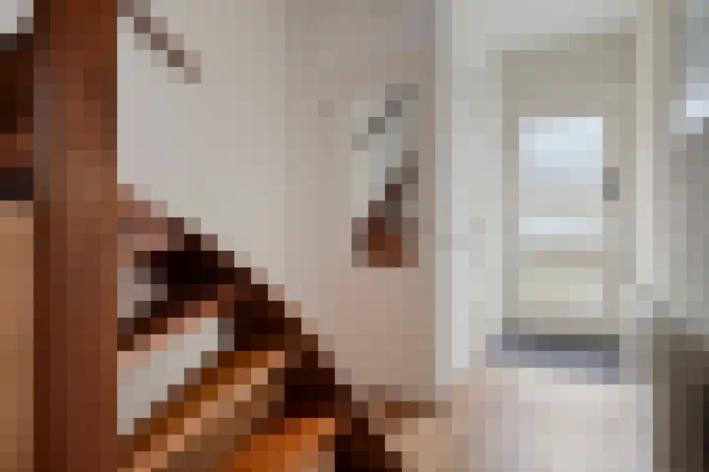 Spaarnestraat 8 Terneuzen thumbnail 6