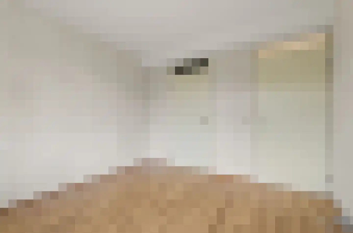 Spaarneweg 11 Culemborg thumbnail 7
