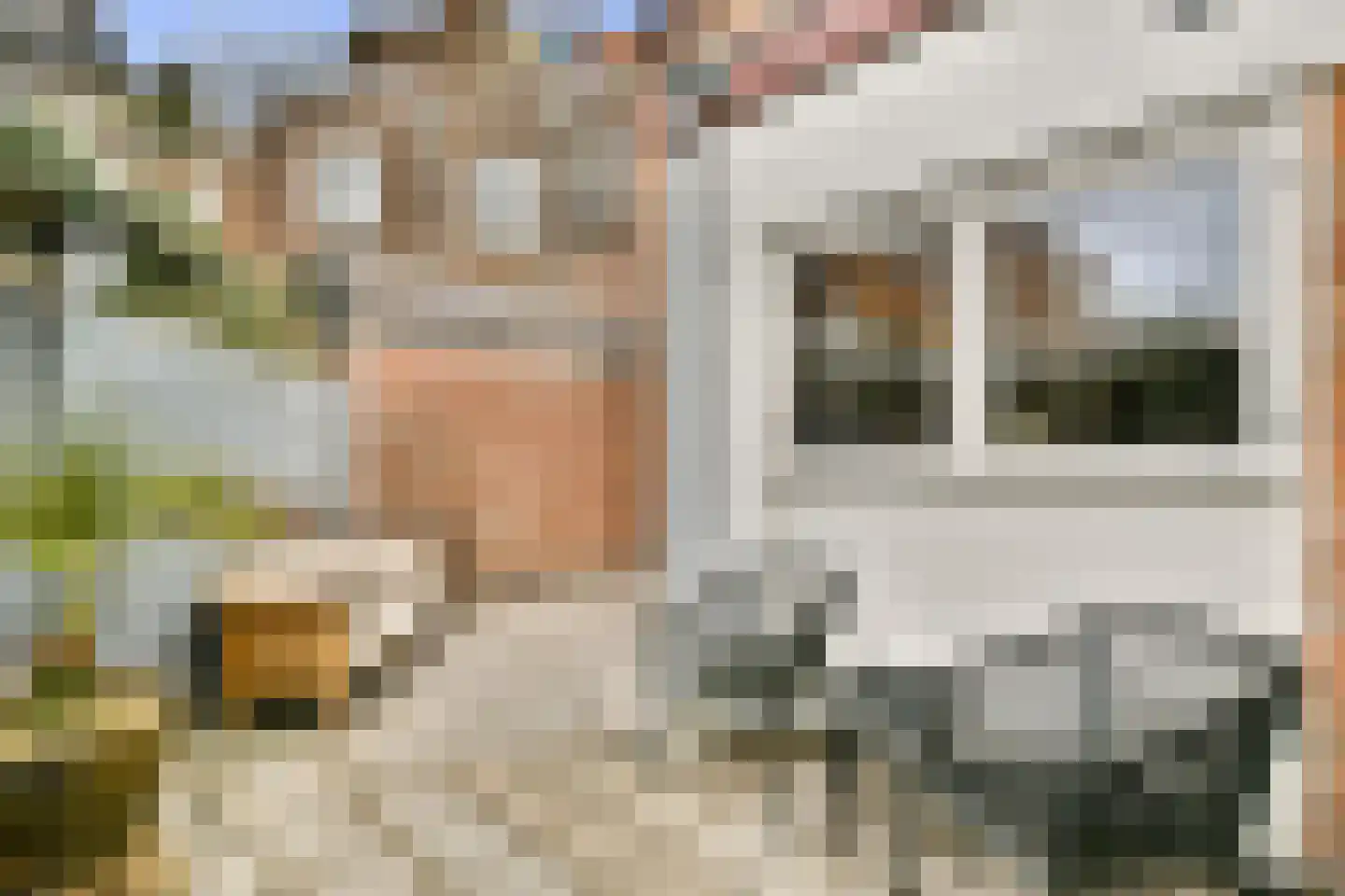 Spaarnhovenstraat 14 Haarlem thumbnail 10