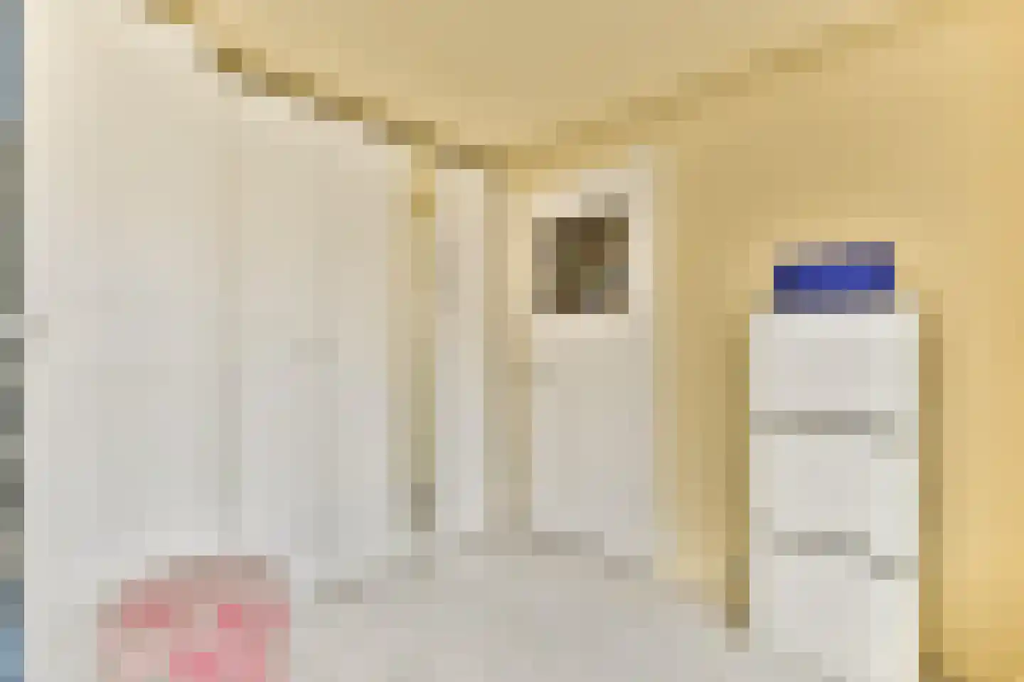 Spaarnhovenstraat 14 Haarlem thumbnail 18