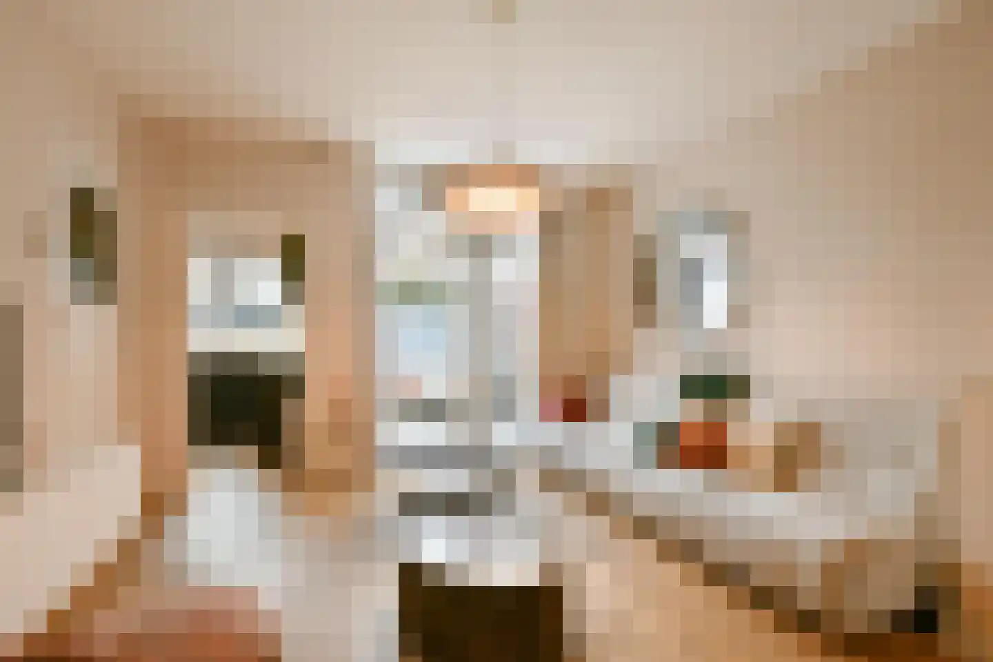 Spaarnhovenstraat 14 Haarlem thumbnail 4