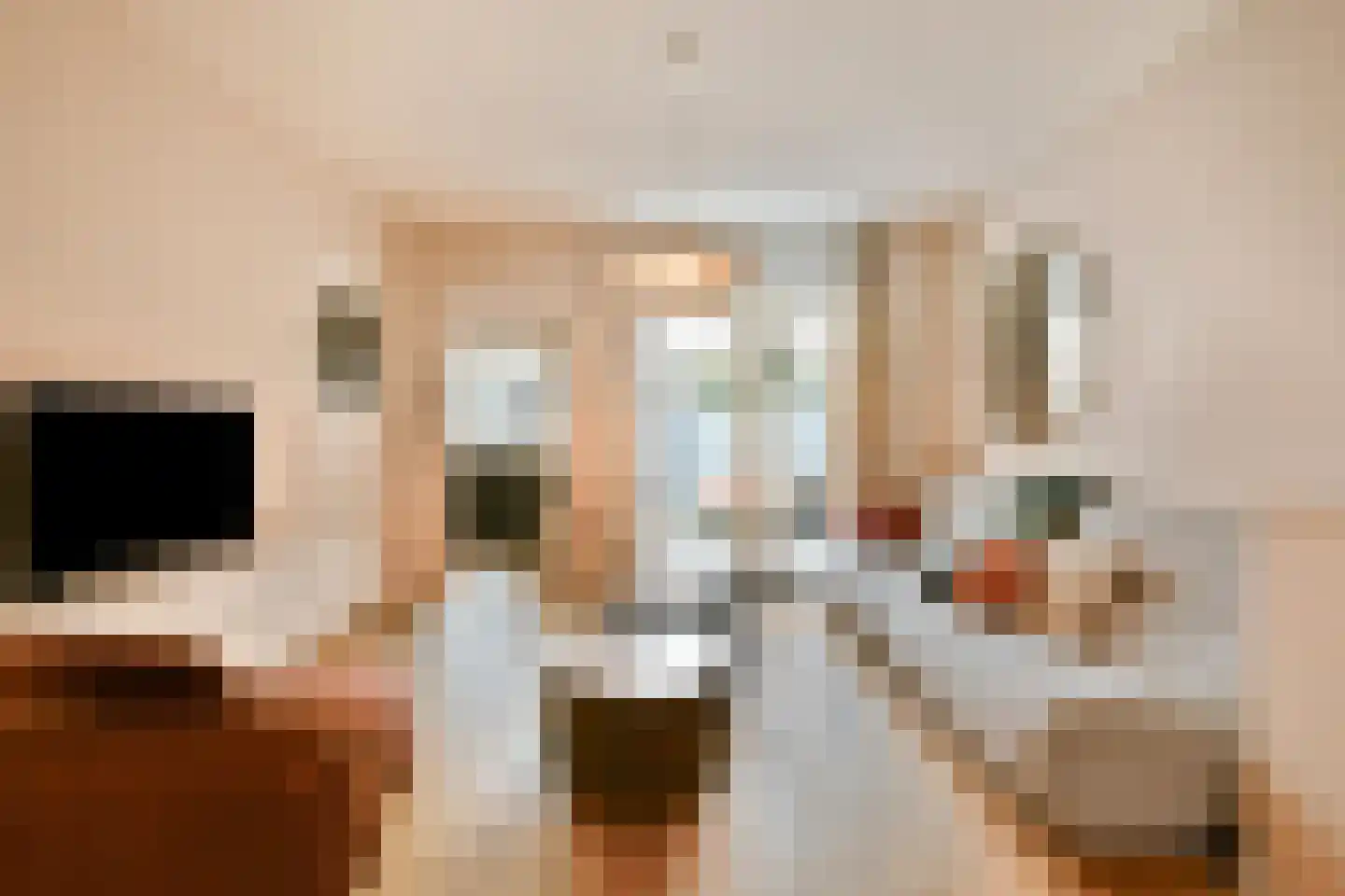 Spaarnhovenstraat 14 Haarlem thumbnail 5