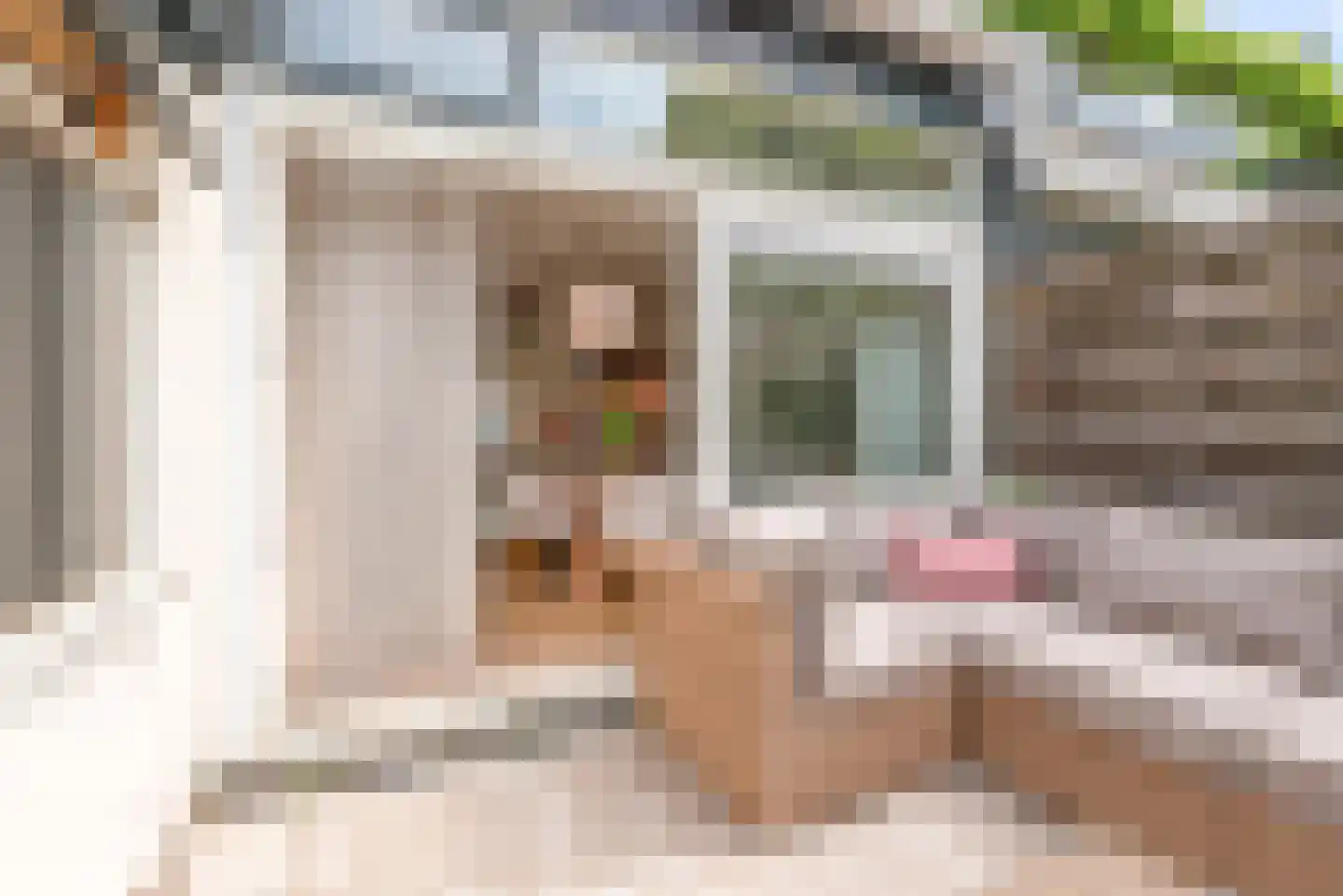 Spaarnhovenstraat 4 Haarlem thumbnail 19