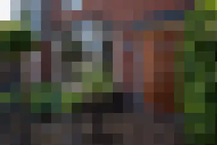 Spaarnrijkstraat 3 Haarlem thumbnail 5
