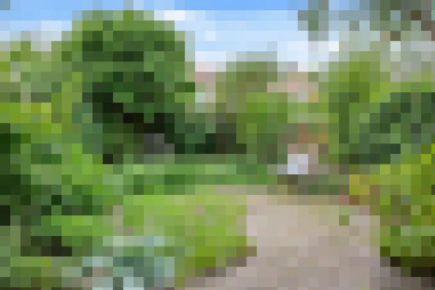 Spaarnrijkstraat 39 Haarlem thumbnail 21