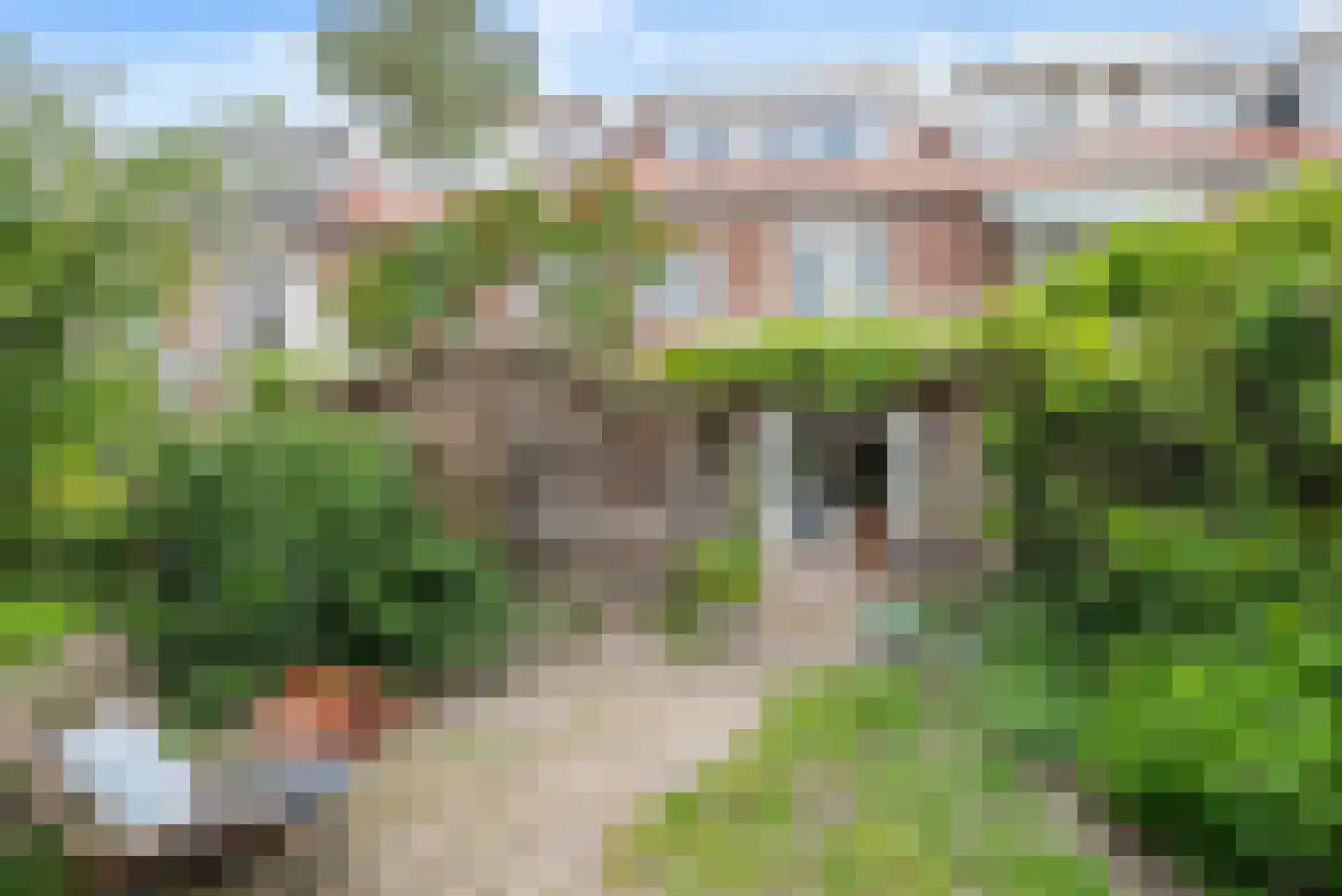Spaarnrijkstraat 39 Haarlem thumbnail 24