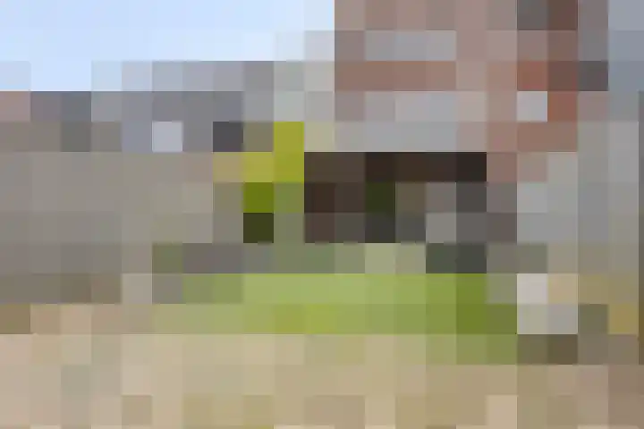 Spaarnwoudelaan 129 Tilburg thumbnail 13
