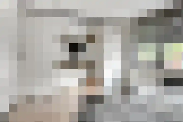 Spaarnwoudelaan 129 Tilburg thumbnail 16