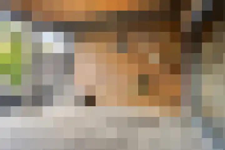 Spaarnwoudelaan 129 Tilburg thumbnail 9
