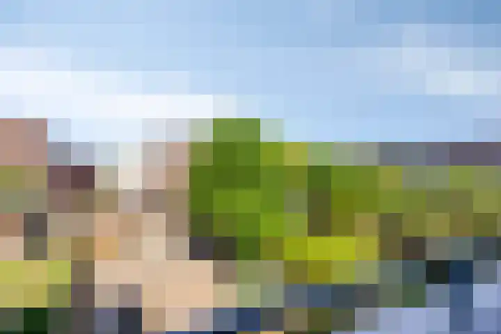 Spaarnwoudelaan 13 Tilburg thumbnail 16