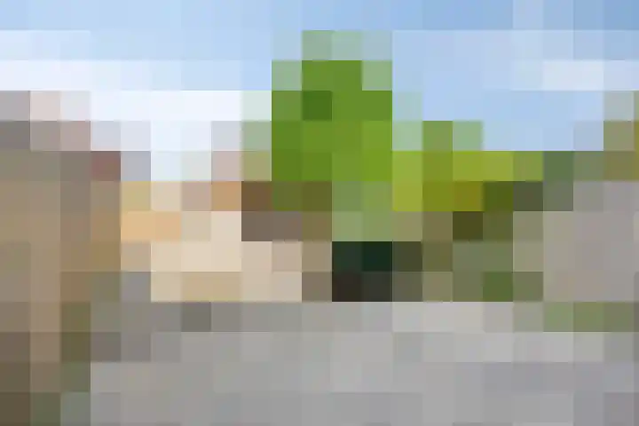 Spaarnwoudelaan 13 Tilburg thumbnail 22