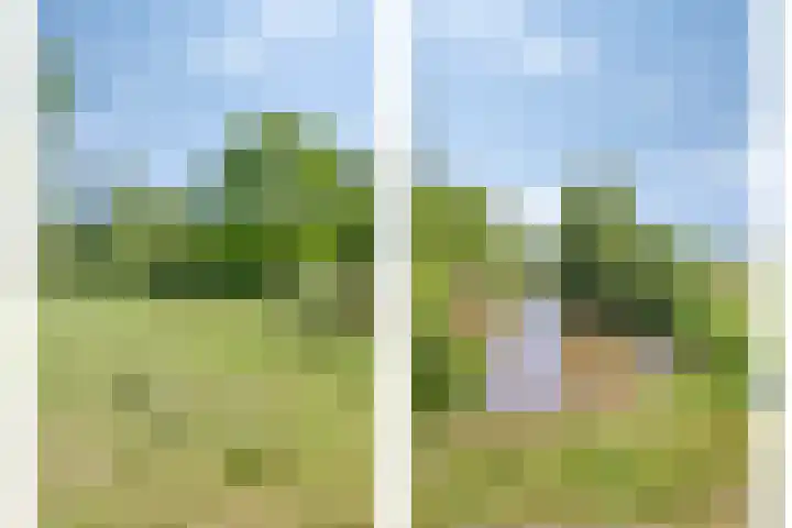 Spaarnwoudelaan 13 Tilburg thumbnail 24