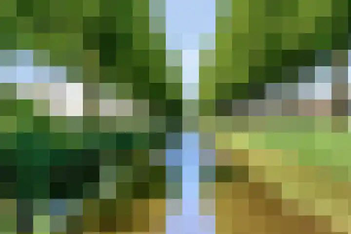 Spaarnwoudelaan 13 Tilburg thumbnail 25