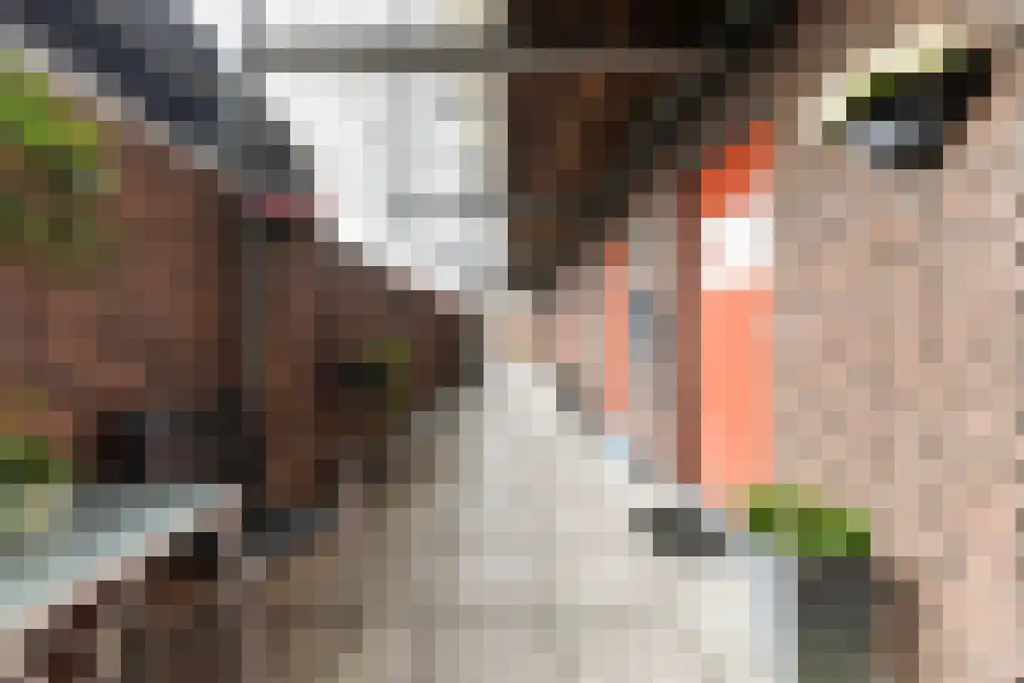Spaarnwoudelaan 133 Tilburg thumbnail 22