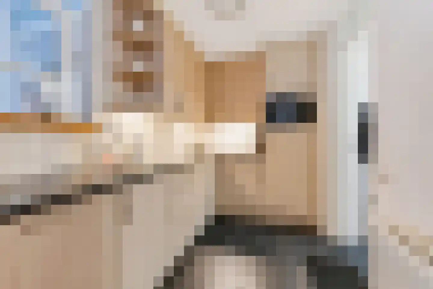 Spaarnwoudelaan 133 Tilburg thumbnail 4