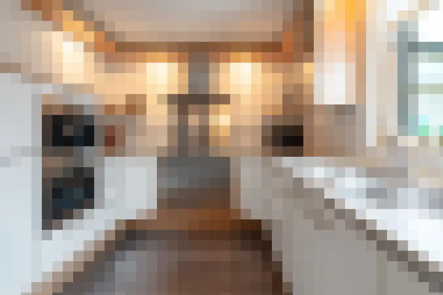 Spaarnwoudelaan 18 Tilburg thumbnail 12