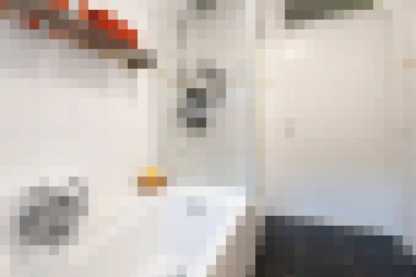 Spaarnwoudelaan 18 Tilburg thumbnail 26