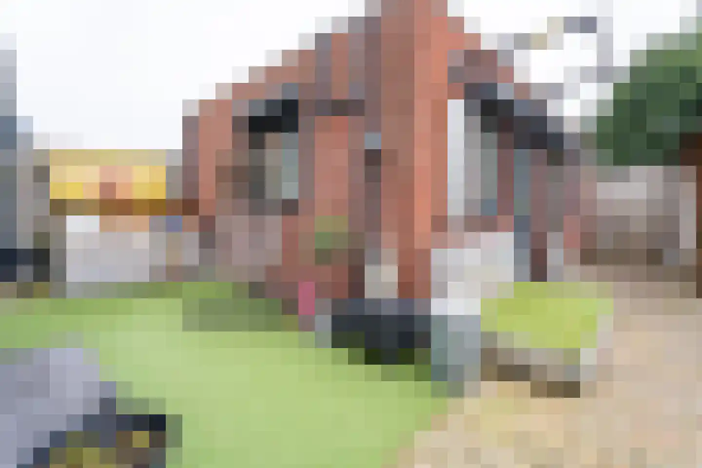 Spaarnwoudelaan 18 Tilburg thumbnail 35