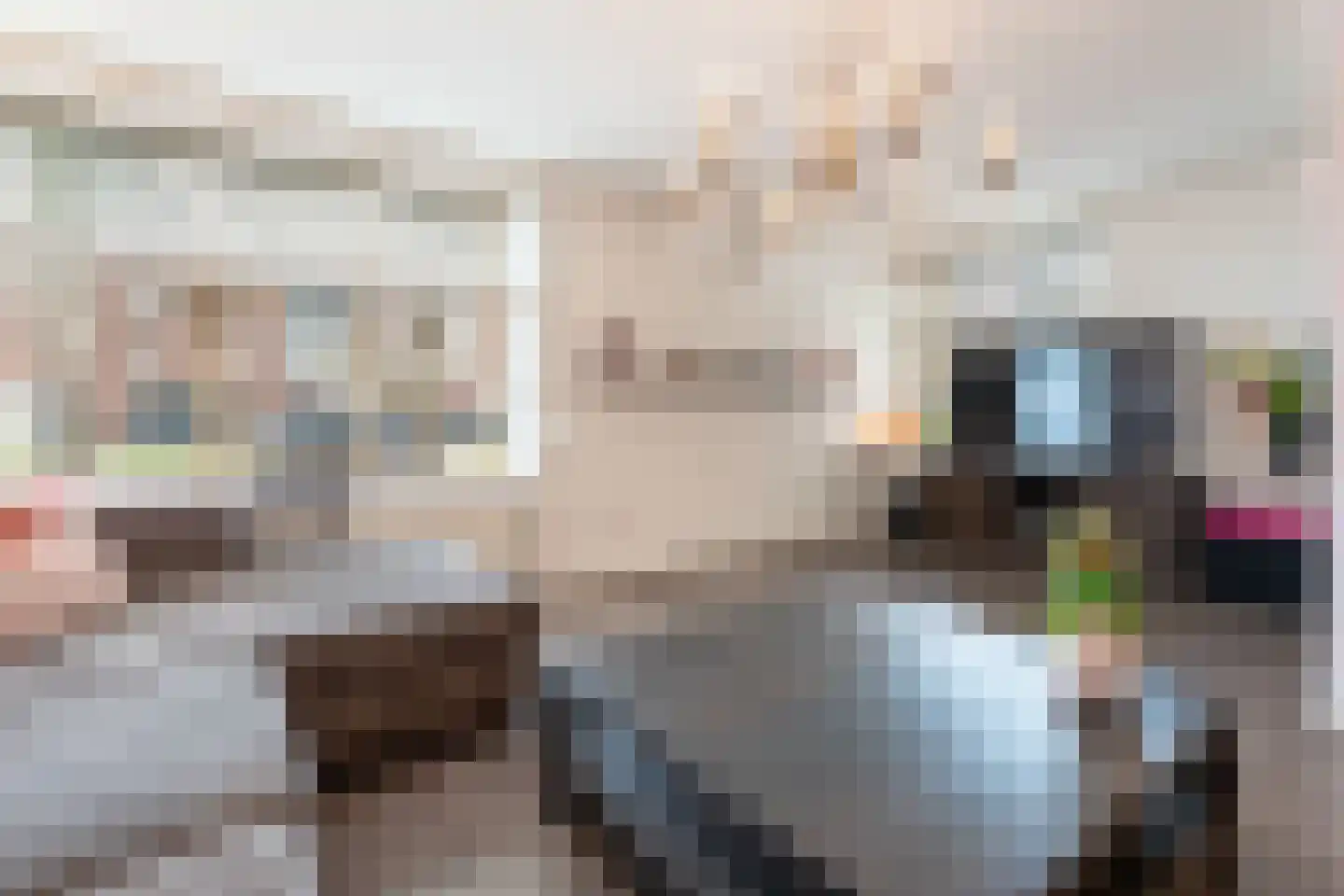 Spaarnwoudelaan 18 Tilburg thumbnail 5