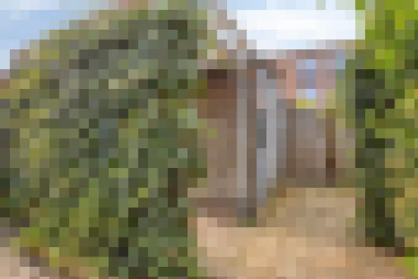 Spaarnwoudelaan 43 Tilburg thumbnail 21