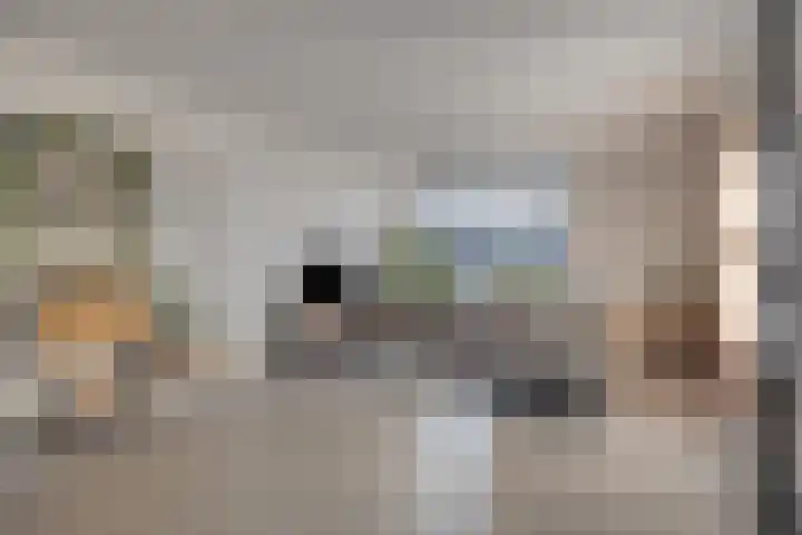 Spaarnwoudelaan 78 Tilburg thumbnail 10