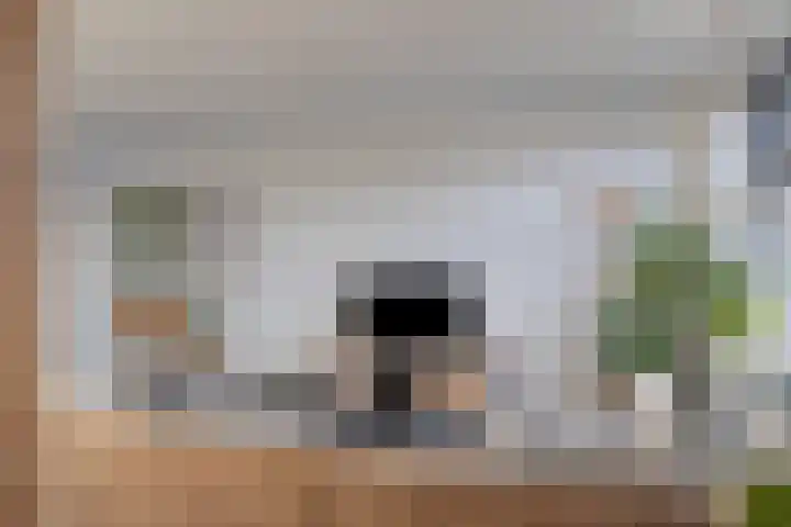 Spaarnwoudelaan 78 Tilburg thumbnail 14