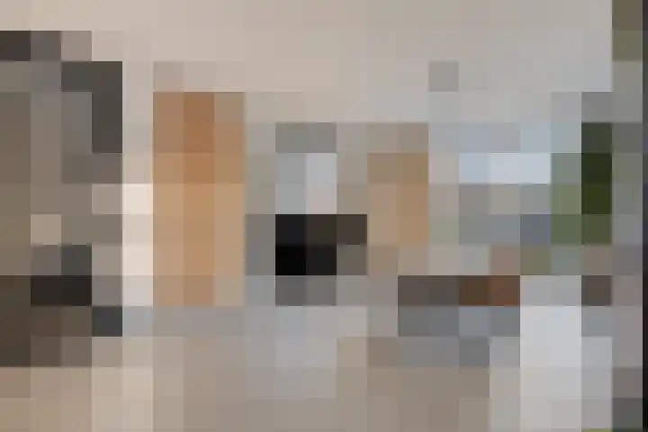 Spaarnwoudelaan 78 Tilburg thumbnail 15