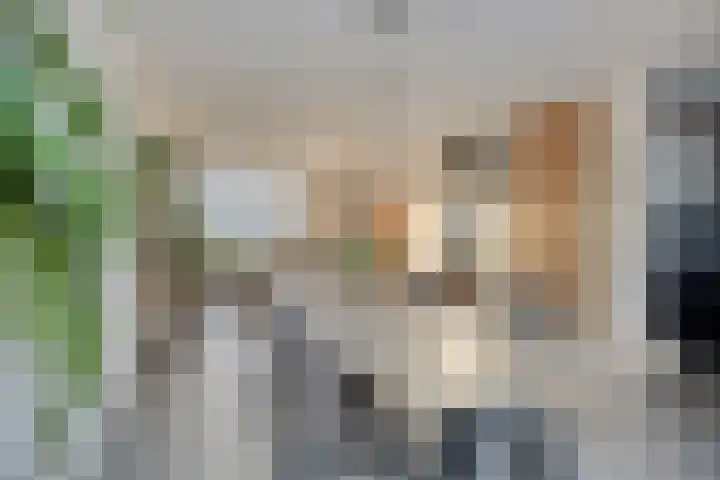 Spaarnwoudelaan 78 Tilburg thumbnail 17