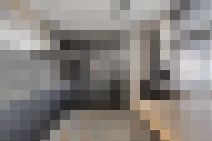 Spaarnwoudelaan 78 Tilburg thumbnail 19