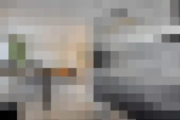 Spaarnwoudelaan 78 Tilburg thumbnail 21