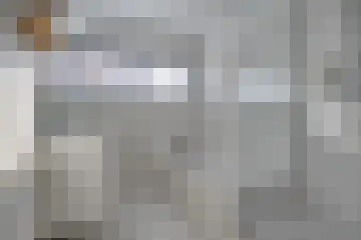 Spaarnwoudelaan 78 Tilburg thumbnail 28