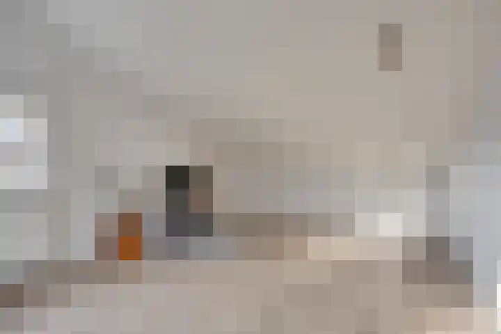Spaarnwoudelaan 78 Tilburg thumbnail 35