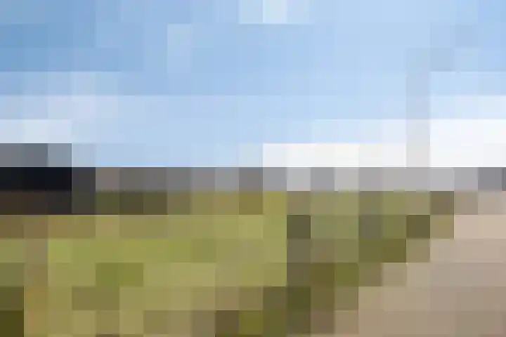 Spaarnwoudelaan 78 Tilburg thumbnail 43