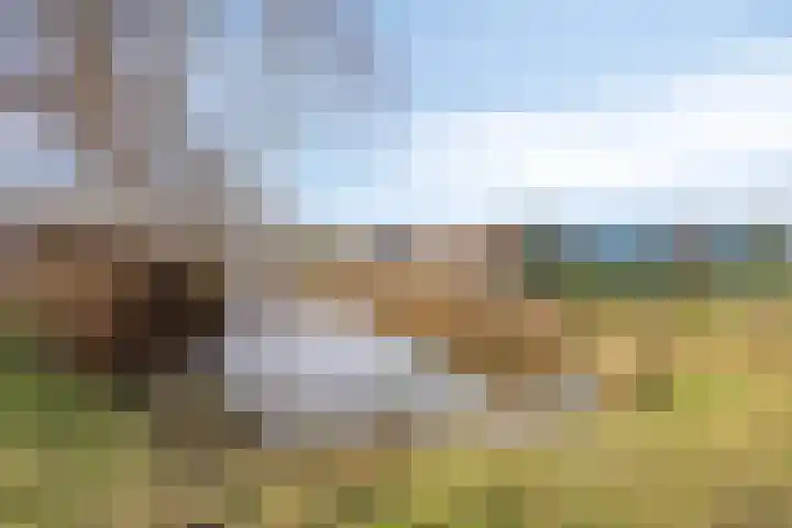 Spaarnwoudelaan 78 Tilburg thumbnail 44