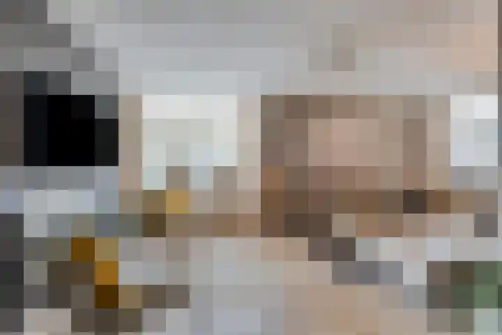 Spaarnwoudelaan 80 Tilburg thumbnail 10
