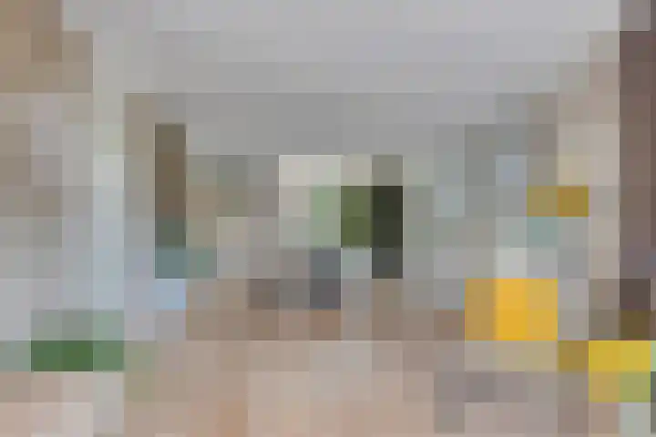 Spaarnwoudelaan 80 Tilburg thumbnail 12
