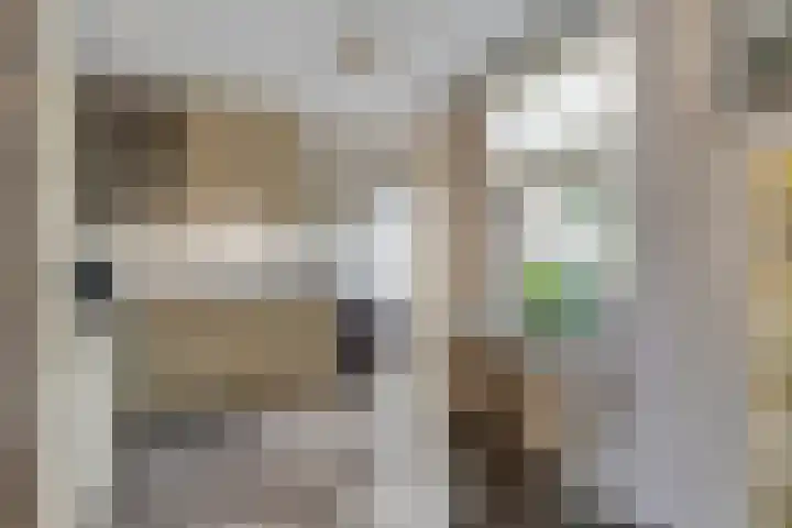 Spaarnwoudelaan 80 Tilburg thumbnail 16